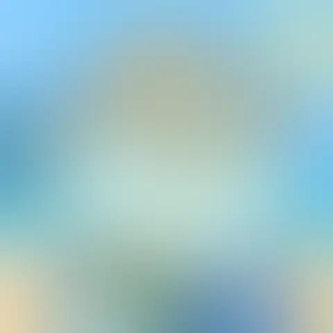 Blurred preview of an unhatched PINTO