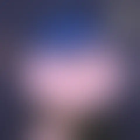 Blurred preview of an unhatched PINTO