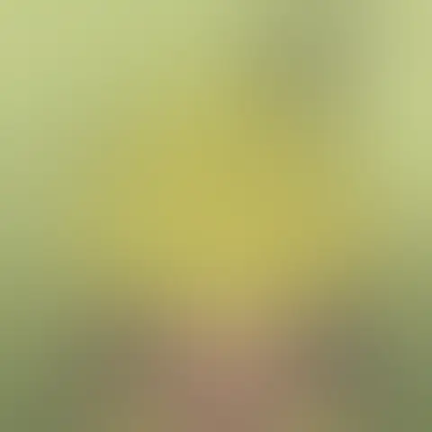 Blurred preview of an unhatched PINTO